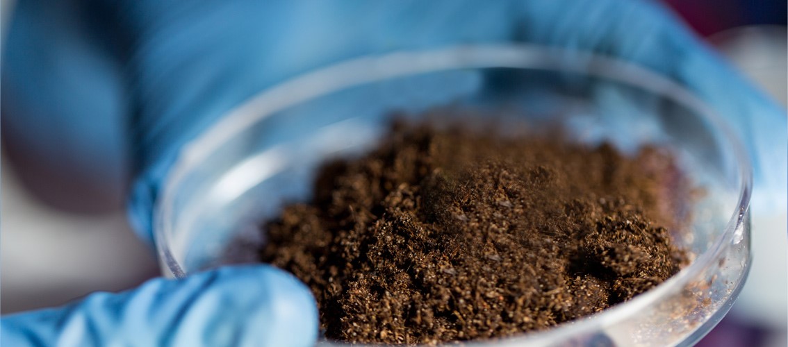Asbestos Testing Lab in Tauranga, Bay of Plenty - ALPHA ANALYTICS LIMITED